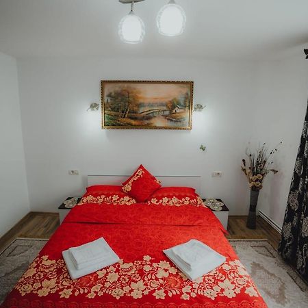 Casa Andreea Si Grigore Ursu Borsa  Ngoại thất bức ảnh