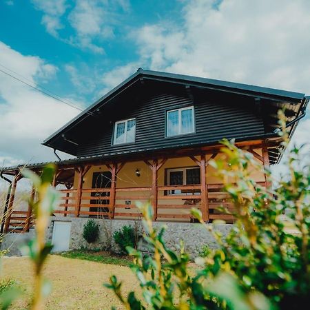 Casa Andreea Si Grigore Ursu Borsa  Ngoại thất bức ảnh