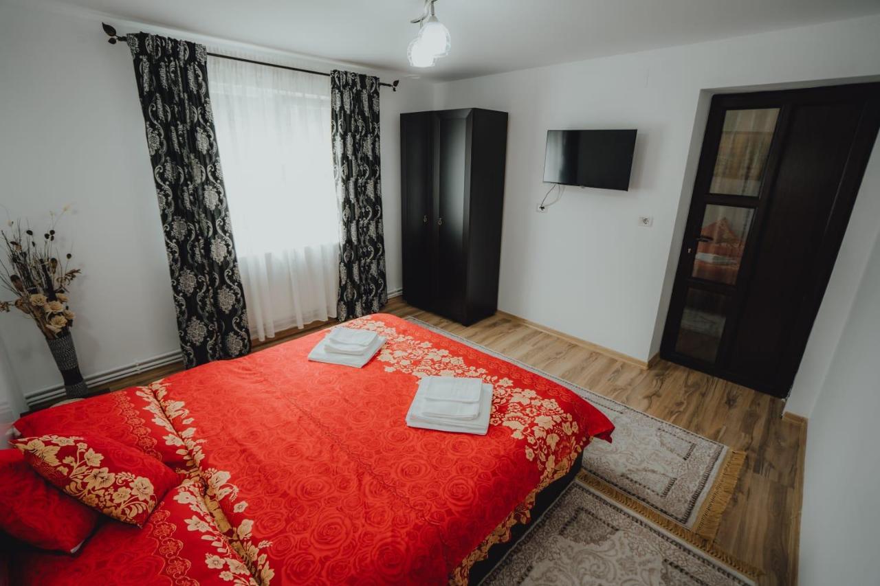 Casa Andreea Si Grigore Ursu Borsa  Ngoại thất bức ảnh