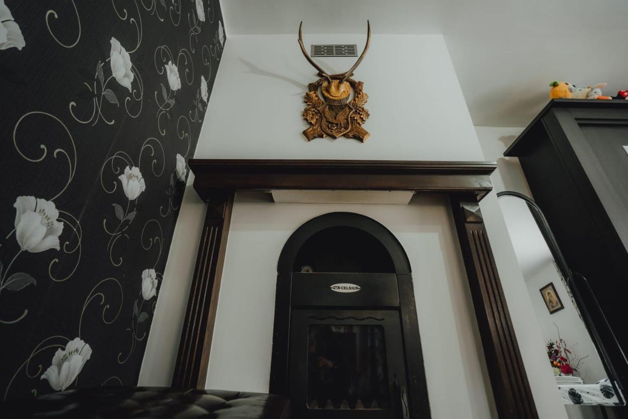 Casa Andreea Si Grigore Ursu Borsa  Ngoại thất bức ảnh