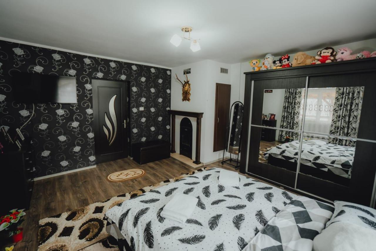 Casa Andreea Si Grigore Ursu Borsa  Ngoại thất bức ảnh