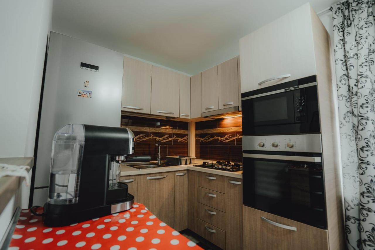 Casa Andreea Si Grigore Ursu Borsa  Ngoại thất bức ảnh