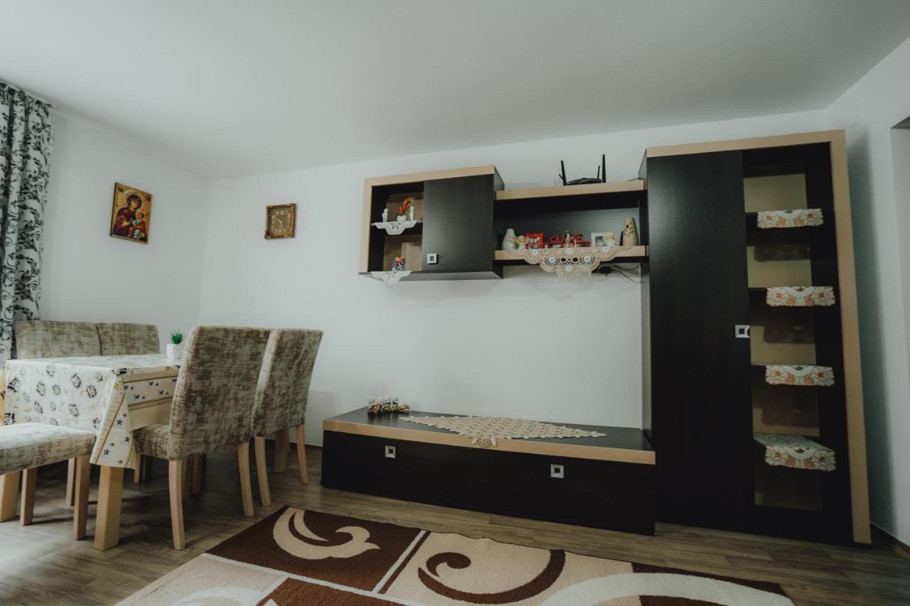 Casa Andreea Si Grigore Ursu Borsa  Ngoại thất bức ảnh