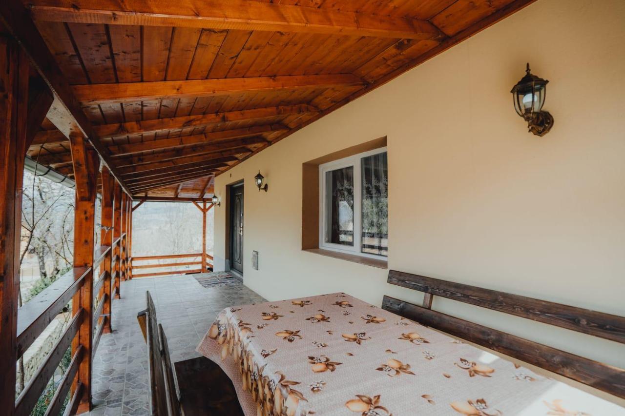 Casa Andreea Si Grigore Ursu Borsa  Ngoại thất bức ảnh