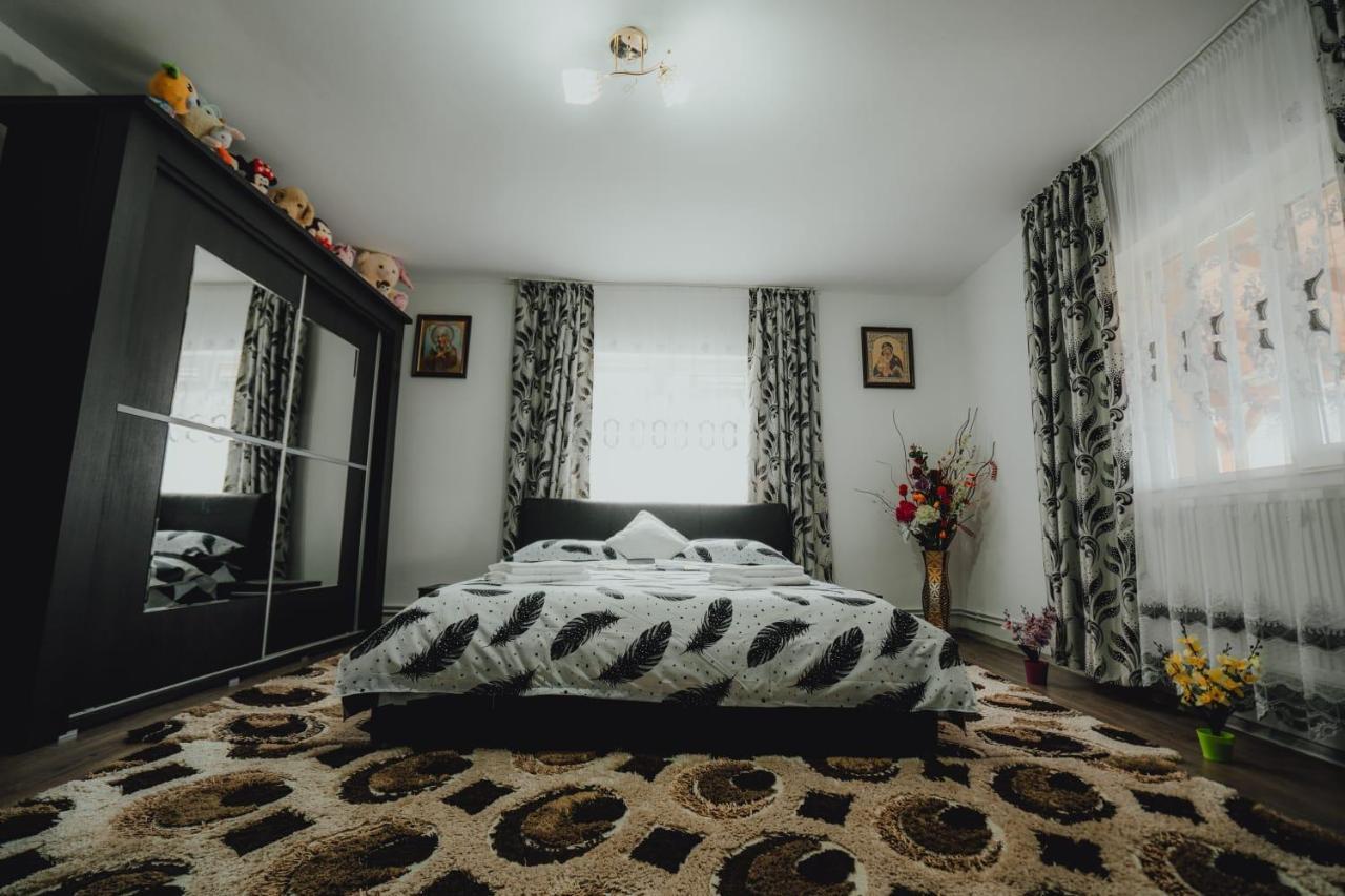 Casa Andreea Si Grigore Ursu Borsa  Ngoại thất bức ảnh