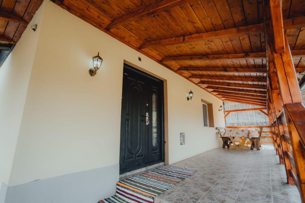 Casa Andreea Si Grigore Ursu Borsa  Ngoại thất bức ảnh