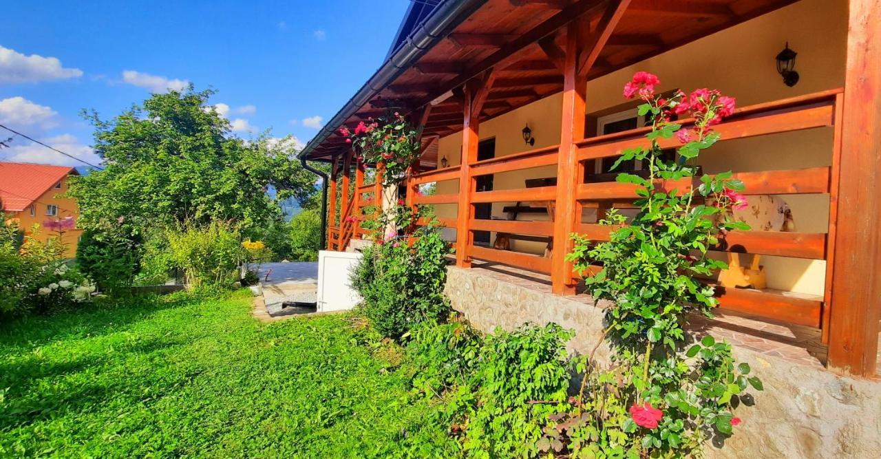 Casa Andreea Si Grigore Ursu Borsa  Ngoại thất bức ảnh