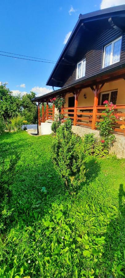 Casa Andreea Si Grigore Ursu Borsa  Ngoại thất bức ảnh